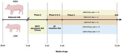 Effect of High-Fat and <mark class="highlighted">Low-Fat Dairy Products</mark> on Cardiometabolic Risk Factors and Immune Function in a Low Birthweight Swine Model of Diet-Induced Insulin Resistance